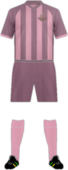 Kit XIAOGAN F.C.