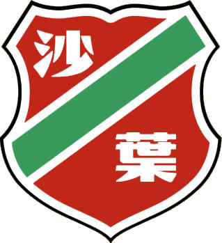 Logo of NANJING SHAYE F.C. (CHINA)