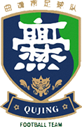 Logo of QINGDAO F.T.-min