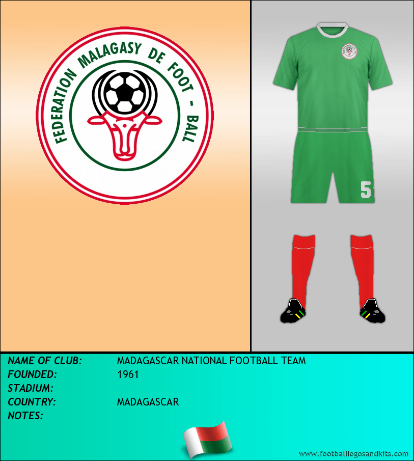 madagascar national football team jersey