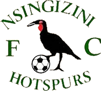 Logo of NSINGIZINI HOTSPURS F.C.-min