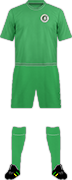 Kit GREEN FUEL FC-min