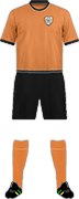 Kit ROARING LIONS F.C.-1(AIA)-min