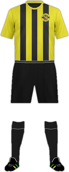 Kit WAGIYA S.C.-1(BIZ)
