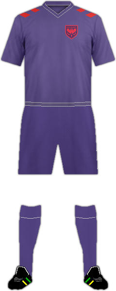 Kit CALGARY WILD F.C.