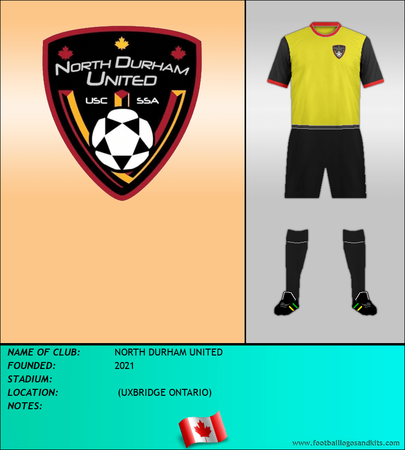 Logo of NORTH DURHAM UNITED