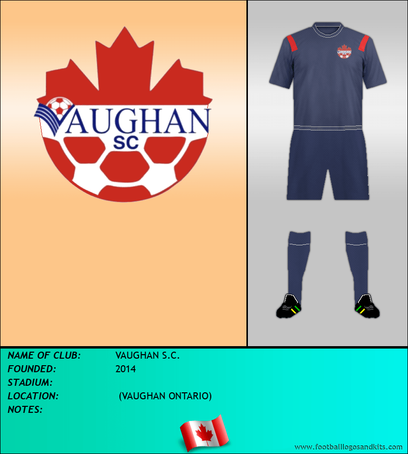 Logo of VAUGHAN S.C.