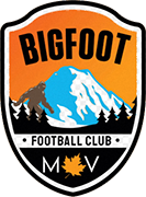 Logo of BIGFOOT F.C.-min