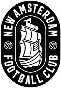 Logo of NEW AMSTERDAM F.C.-min