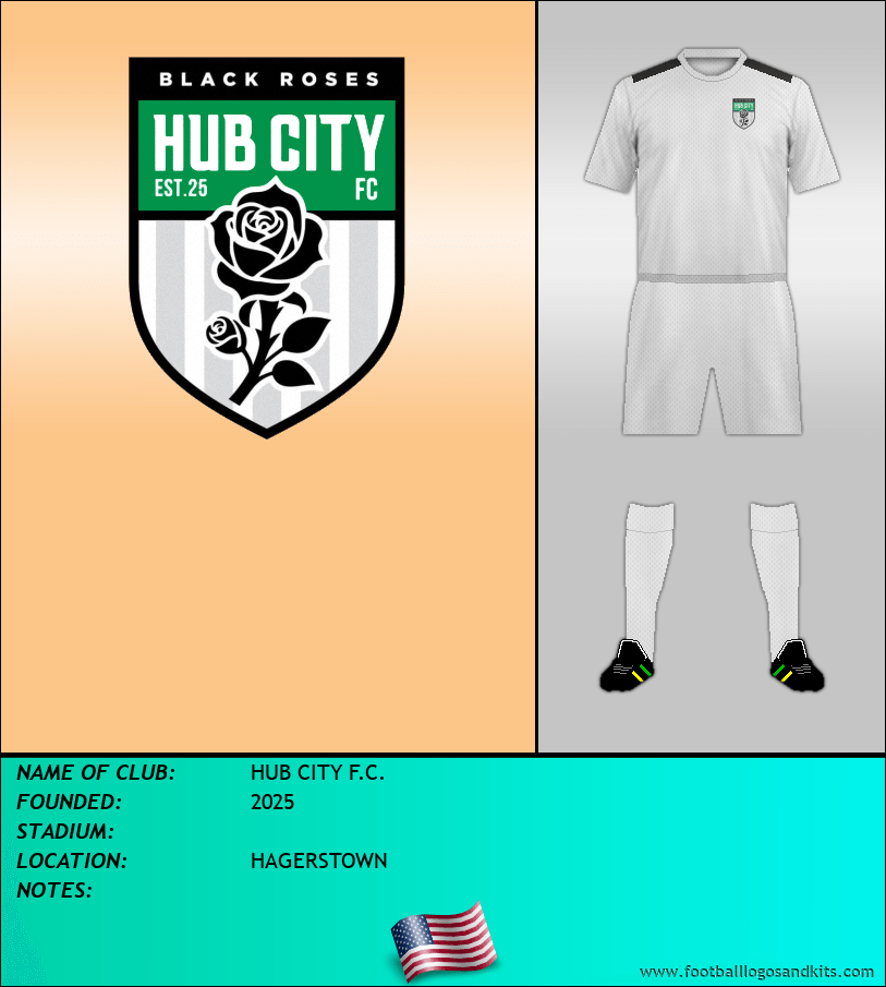 Logo of HUB CITY F.C.