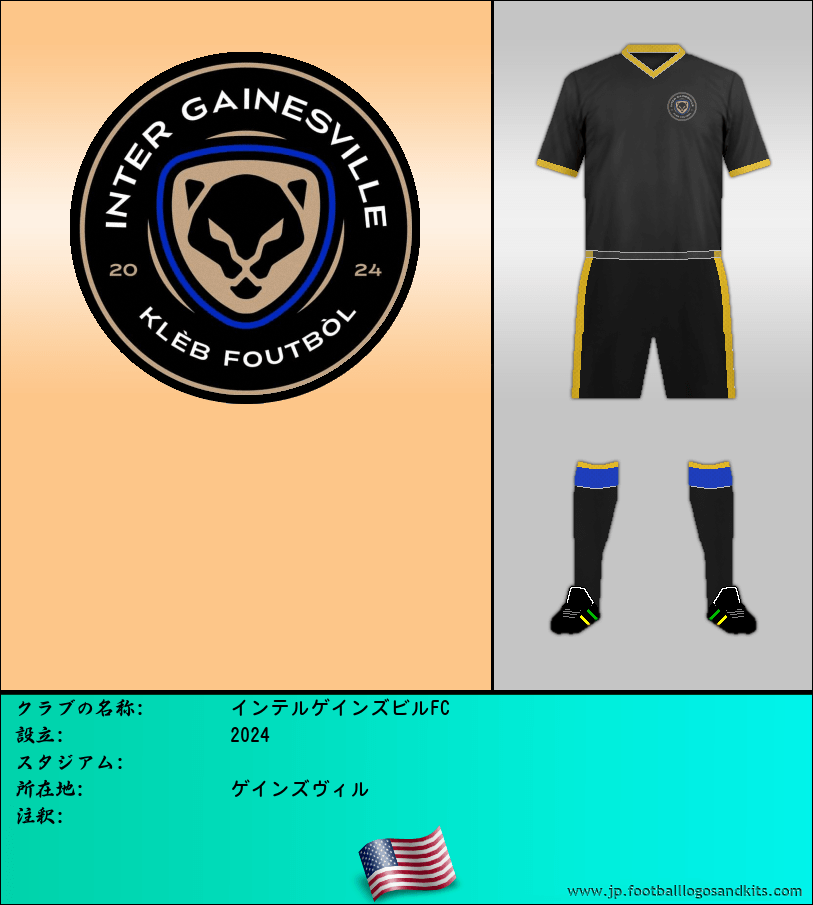 のロゴインテルゲインズビルFC