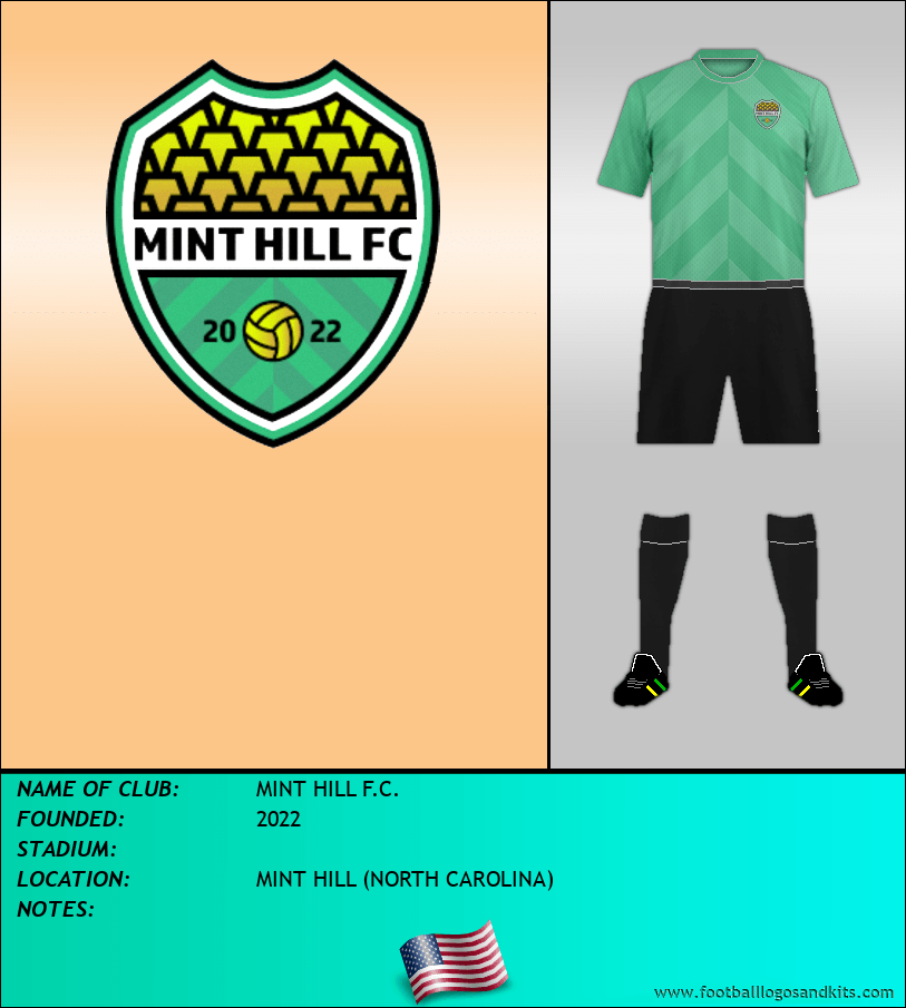 Logo of MINT HILL F.C.