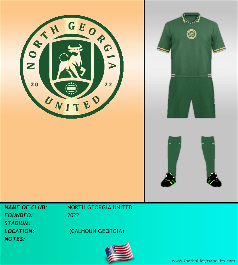 Logo of NORTH GEORGIA UNITED