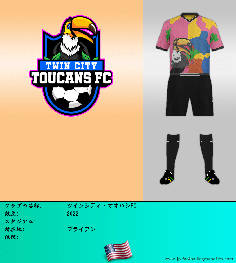 のロゴツインシティ・オオハシFC