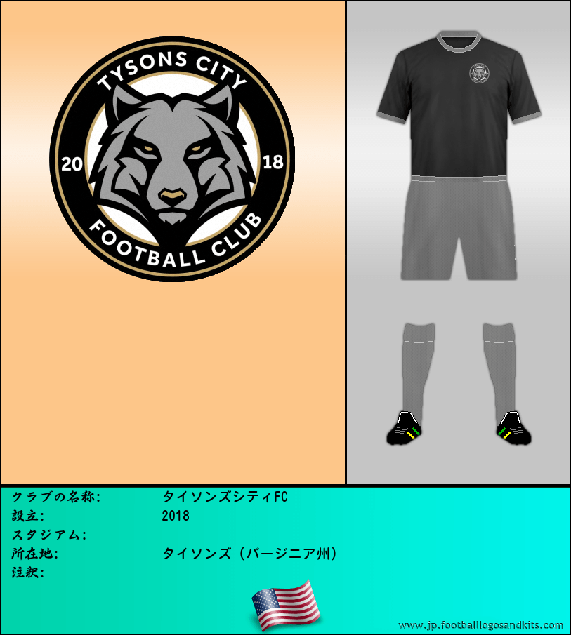 のロゴタイソンズシティFC