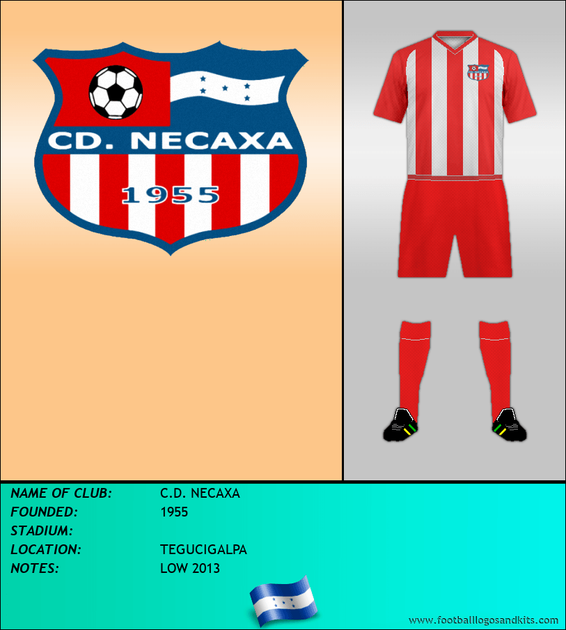 Logo of C.D. NECAXA