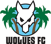 Logo of WOLUES F.C.(IVB)-min