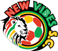 Logo of NEW VIBES S.C.-min