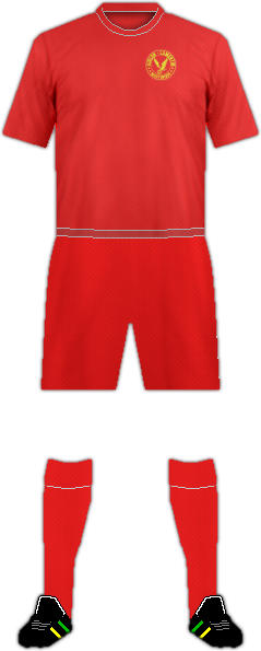 Kit AIGLON DU LAMENTIN(MTQ)