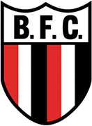 Logo of BOTAFOGO F.C. (RIBERÃO PRETO)-min