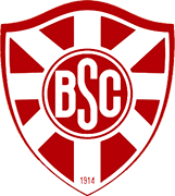 Logo of BOTAFOGO S.C.(SENHOR)-min