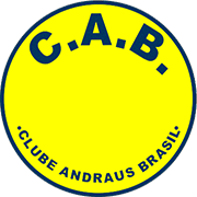 Logo of C. ANDRAUS BRASIL-min