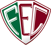 Logo of FLUMINENSE E.C.(TERESINA)-min