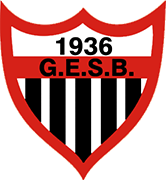 Logo of GRÊMIO E. SUL BRASILEIRO-min
