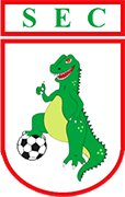 Logo of SOUSA E.C.-min