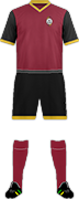 Kit C.D. RENACER CORDONADA-min