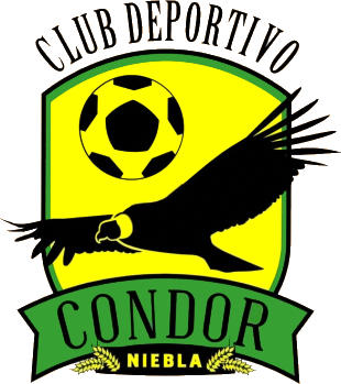 Logo of C.D. CONDOR (CHILE)