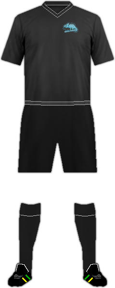 Kit C.D. REAL PEÑÓN