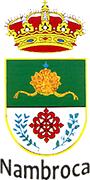 Logo of AYUNTAMIENTO DE NAMBROCA-min