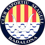 Logo of C.E. SEAGULLL-min