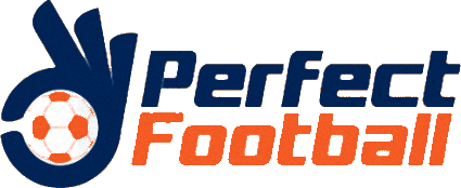 Logo of PERFECT FOOTBALL ACADEMY-min