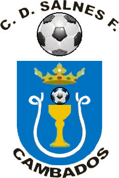 Logo of C.D. SALNES F. (GALICIA)