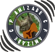 Logo of AMIZADE C.F.-min