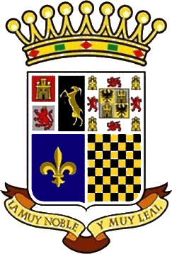 Logo of A.D. F.S. CHINCHÓN (MADRID)