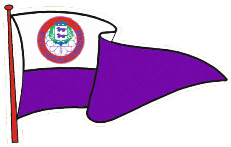 Logo of C.D. SANTURTZI (BASQUE COUNTRY)