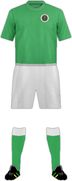 Kit INTERCAP C.F.