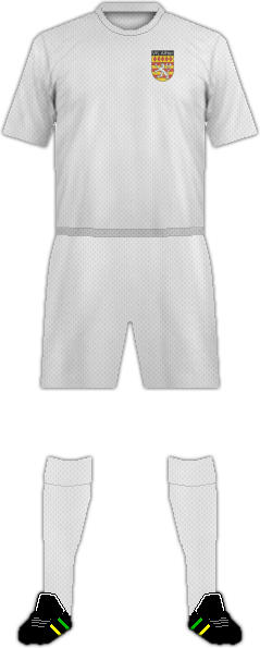 Kit VFL ALFTER 1925 E.V.