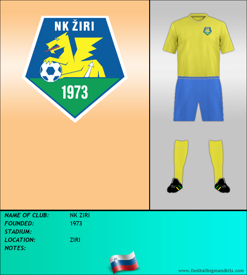 Logo of NK ZIRI