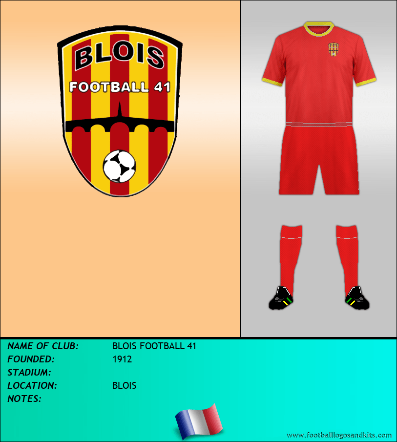 Logo of BLOIS FOOTBALL 41
