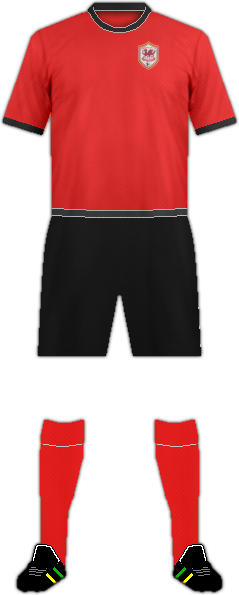 Kit CARDIFF CITY FC-2