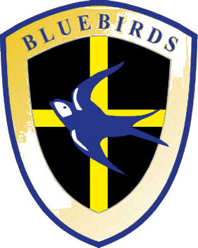 Logo of CARDIFF CITY FC-1 (WALES)