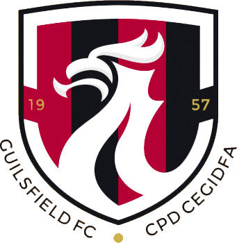 Logo of GUILSFIELD FC (WALES)