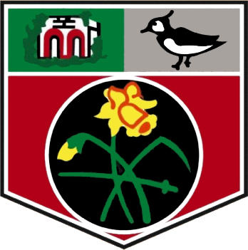 Logo of UNDY ATHLETIC FC (WALES)