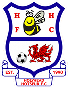 Logo of HOLYHEAD HOTSPUR FC-min