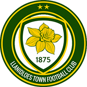 Logo of LLANIDLOES TOWN FC-min