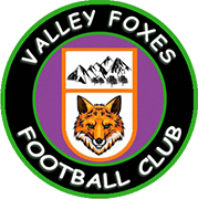 Logo of VALLEY FOXES F.C.-min